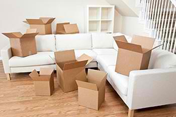 Professional Packing Service