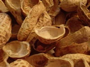 Alternative Packing Materials - Peanut Shells
