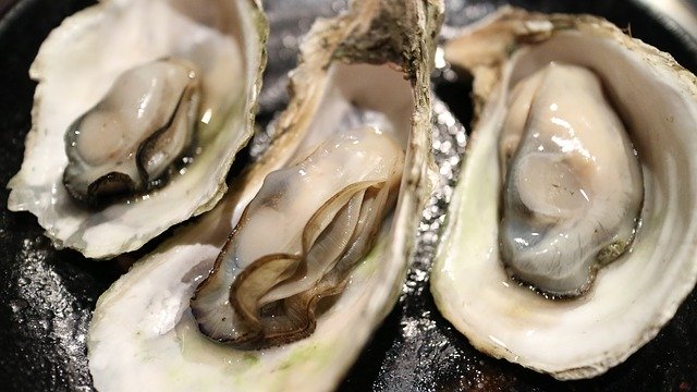 How to Ship Fresh Oysters