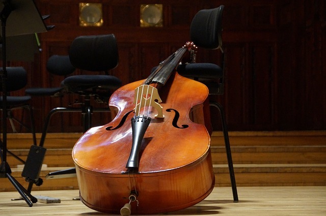 How to Ship a Double Bass