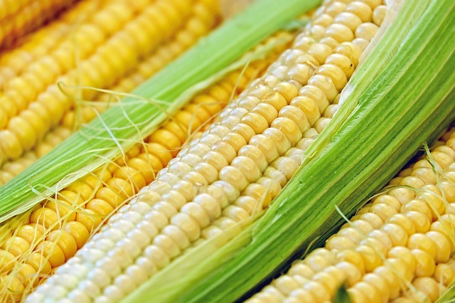 How to ship corn on cobs