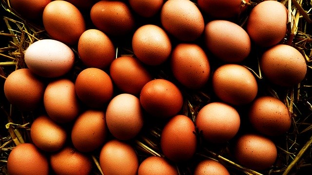 How to ship organic chicken eggs