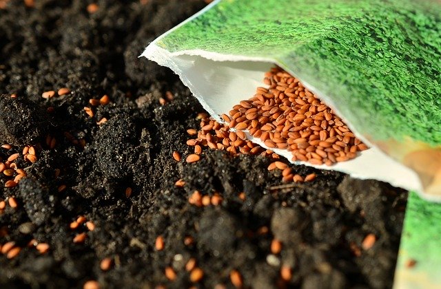How to pack and ship seeds properly