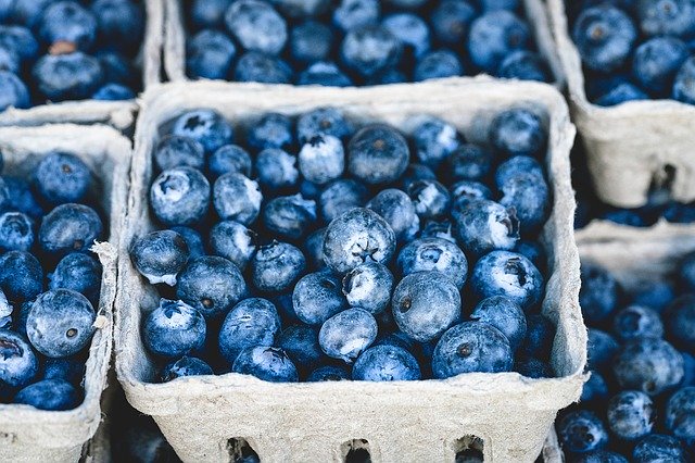 shipping fresh blueberries