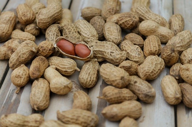 shipping boiled peanuts