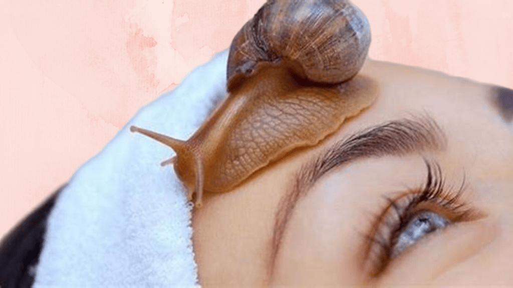 How to Ship a Snail Slime Face Mask