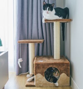 shipping a cat tree